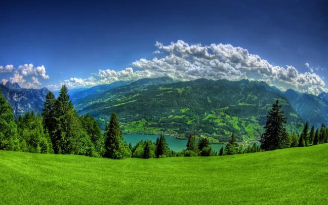 Spring, Widescreen Wallpaper