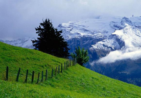 Download Nature hd wallpapers 1080p widescreen | Awam PK