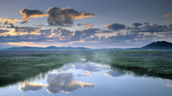 Nature Widescreen Desktop Wallpaper