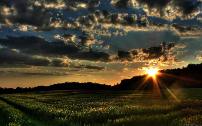 [50+] HD Widescreen Nature Wallpapers 